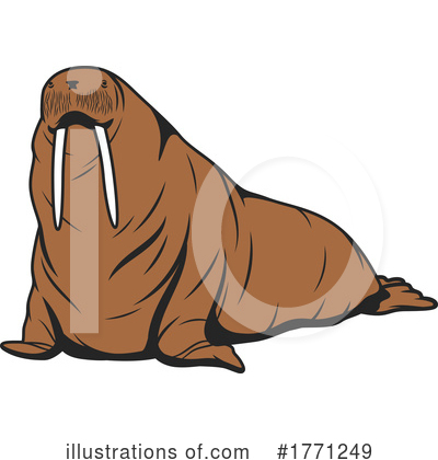 Walrus Clipart #1771249 by Vector Tradition SM