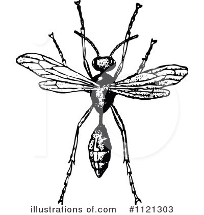 Royalty-Free (RF) Wasp Clipart Illustration by Prawny Vintage - Stock Sample #1121303