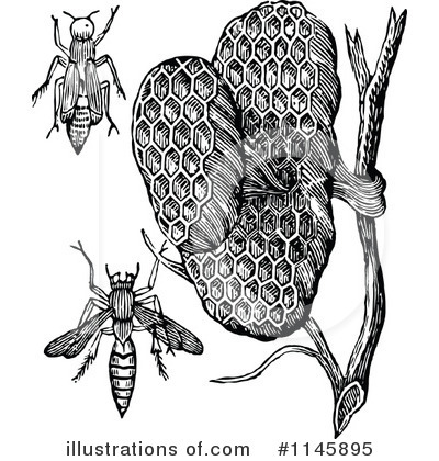 Wasp Clipart #1145895 by Prawny Vintage