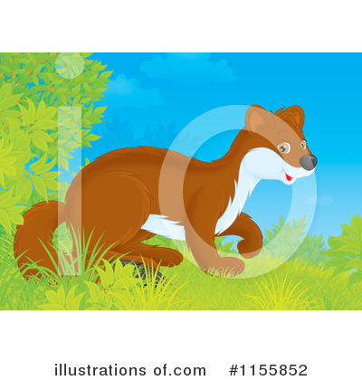 Weasel Clipart #1155852 by Alex Bannykh