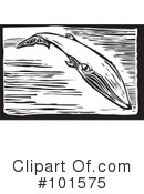 Whale Clipart #101575 by xunantunich
