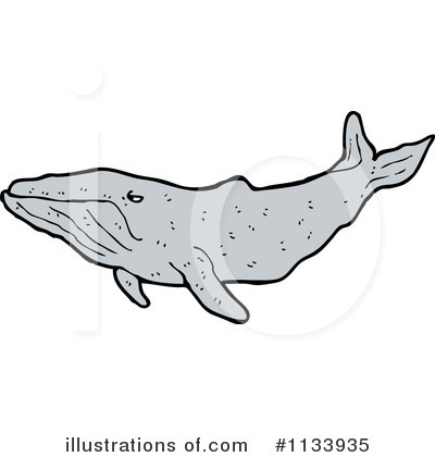 Humpback Whale Clipart #1133935 by lineartestpilot