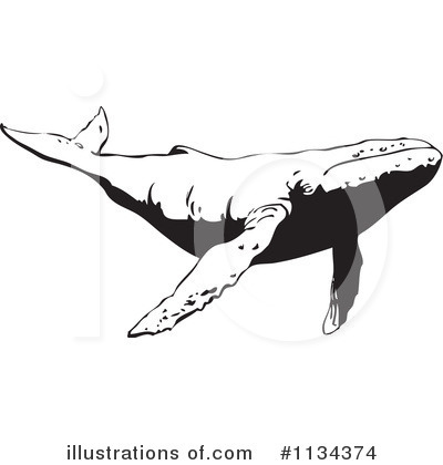 Whale Clipart #1134374 by YUHAIZAN YUNUS