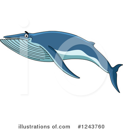 Royalty-Free (RF) Whale Clipart Illustration by Vector Tradition SM - Stock Sample #1243760