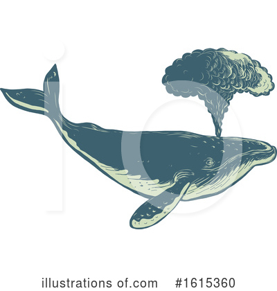 Whales Clipart #1615360 by patrimonio