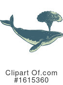 Whale Clipart #1615360 by patrimonio