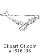 Whale Clipart #1616105 by patrimonio