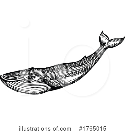 Royalty-Free (RF) Whale Clipart Illustration by Vector Tradition SM - Stock Sample #1765015