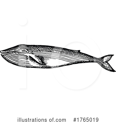 Royalty-Free (RF) Whale Clipart Illustration by Vector Tradition SM - Stock Sample #1765019