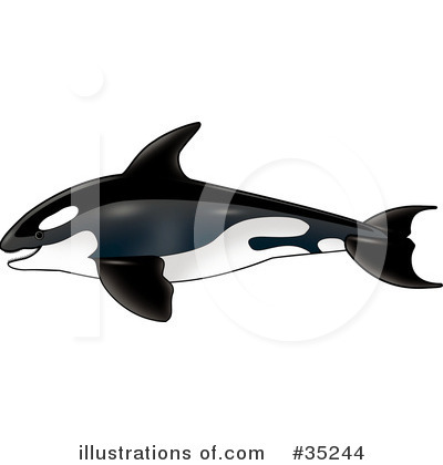 Royalty-Free (RF) Whale Clipart Illustration by dero - Stock Sample #35244