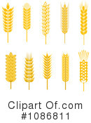 Wheat Clipart #1086811 by Vector Tradition SM