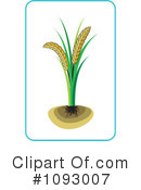 Wheat Clipart #1093007 by Lal Perera