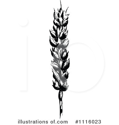 Royalty-Free (RF) Wheat Clipart Illustration by Prawny Vintage - Stock Sample #1116023