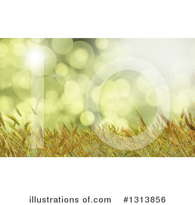 Royalty-Free (RF) Wheat Clipart Illustration by KJ Pargeter - Stock Sample #1313856
