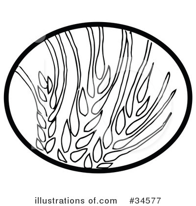 Royalty-Free (RF) Wheat Clipart Illustration by C Charley-Franzwa - Stock Sample #34577