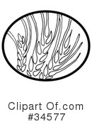 Wheat Clipart #34577 by C Charley-Franzwa