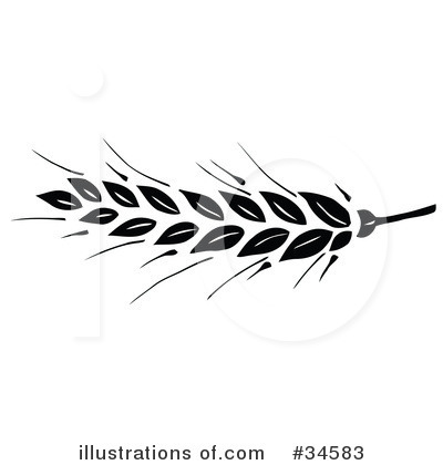 Royalty-Free (RF) Wheat Clipart Illustration by C Charley-Franzwa - Stock Sample #34583
