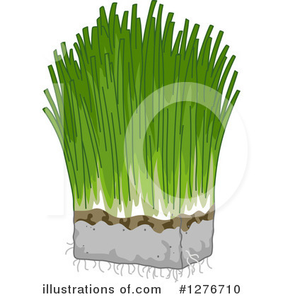 Royalty-Free (RF) Wheat Grass Clipart Illustration by BNP Design Studio - Stock Sample #1276710