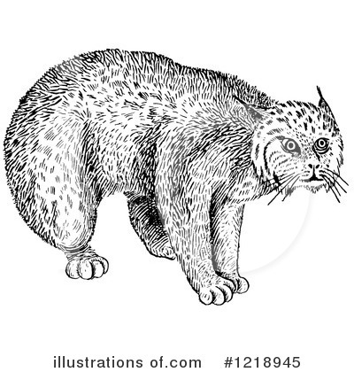 Royalty-Free (RF) Wildcat Clipart Illustration by Picsburg - Stock Sample #1218945