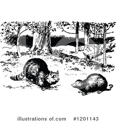Possum Clipart #1201143 by Prawny Vintage