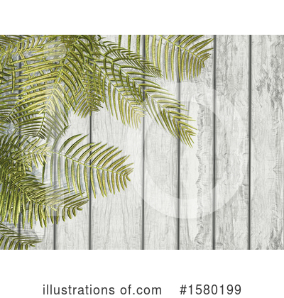 Fern Clipart #1580199 by KJ Pargeter