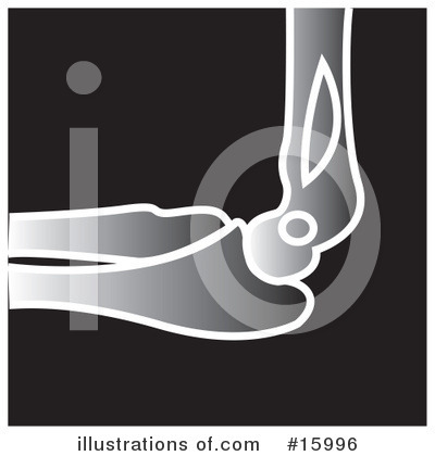 Elbow Clipart #15996 by Andy Nortnik