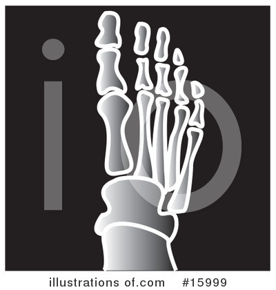 Royalty-Free (RF) Xray Clipart Illustration by Andy Nortnik - Stock Sample #15999