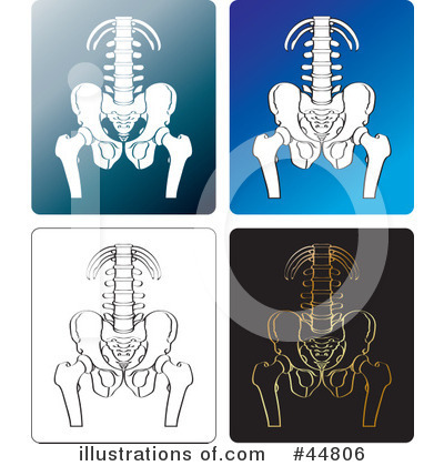 Spine Clipart #44806 by Lal Perera