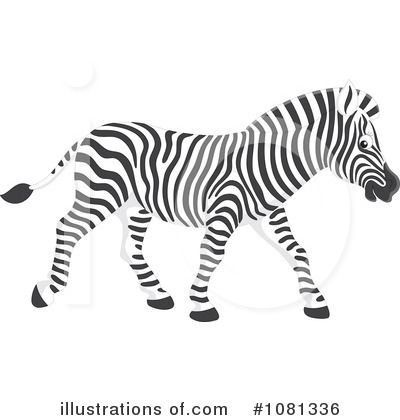 Zebra Clipart #1081336 by Alex Bannykh