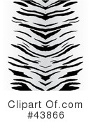 Zebra Clipart #43866 by Arena Creative