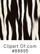 Zebra Clipart #88895 by Arena Creative