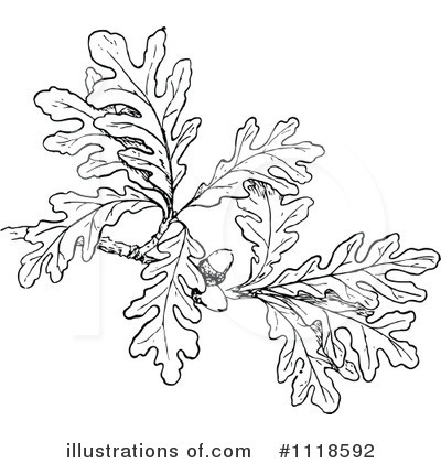 Botany Clipart #1118592 by Prawny Vintage
