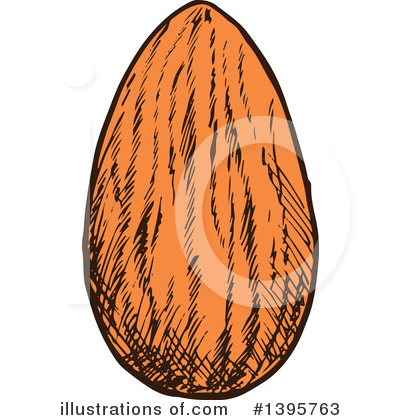 Royalty-Free (RF) Almond Clipart Illustration by Vector Tradition SM - Stock Sample #1395763