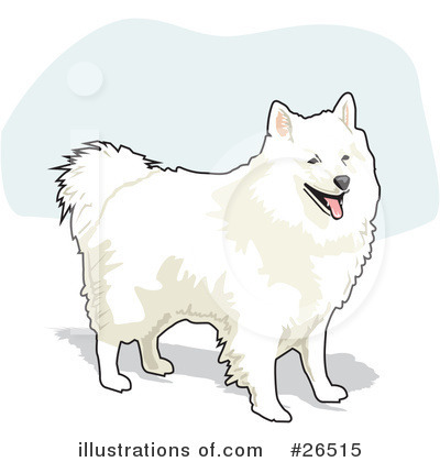 Royalty-Free (RF) American Eskimo Dog Clipart Illustration by David Rey - Stock Sample #26515