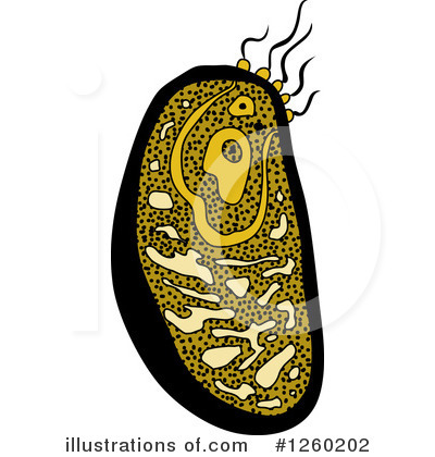 Royalty-Free (RF) Amoeba Clipart Illustration by Vector Tradition SM - Stock Sample #1260202