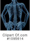Anatomy Clipart #1095614 by KJ Pargeter