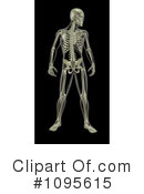 Anatomy Clipart #1095615 by KJ Pargeter