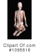 Anatomy Clipart #1095616 by KJ Pargeter