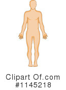 Anatomy Clipart #1145218 by patrimonio
