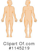 Anatomy Clipart #1145219 by patrimonio