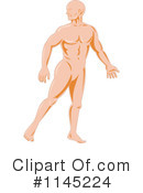 Anatomy Clipart #1145224 by patrimonio