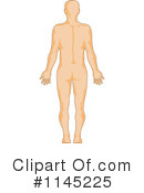 Anatomy Clipart #1145225 by patrimonio