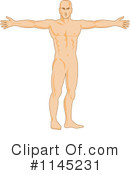 Anatomy Clipart #1145231 by patrimonio