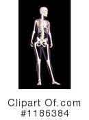 Anatomy Clipart #1186384 by KJ Pargeter