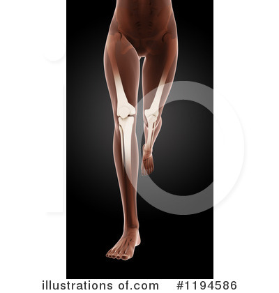 Knees Clipart #1194586 by KJ Pargeter