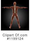 Anatomy Clipart #1199124 by KJ Pargeter