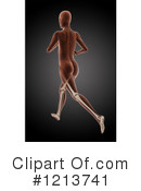 Anatomy Clipart #1213741 by KJ Pargeter