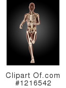 Anatomy Clipart #1216542 by KJ Pargeter