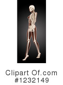 Anatomy Clipart #1232149 by KJ Pargeter