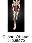 Anatomy Clipart #1235570 by KJ Pargeter
